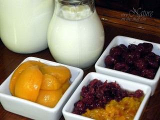 Ingredients for homemade fruit yogurt
