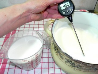 Right milk temperature for yogurt making