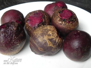 Roots of red beet