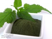 Homemade nettle leaf powder